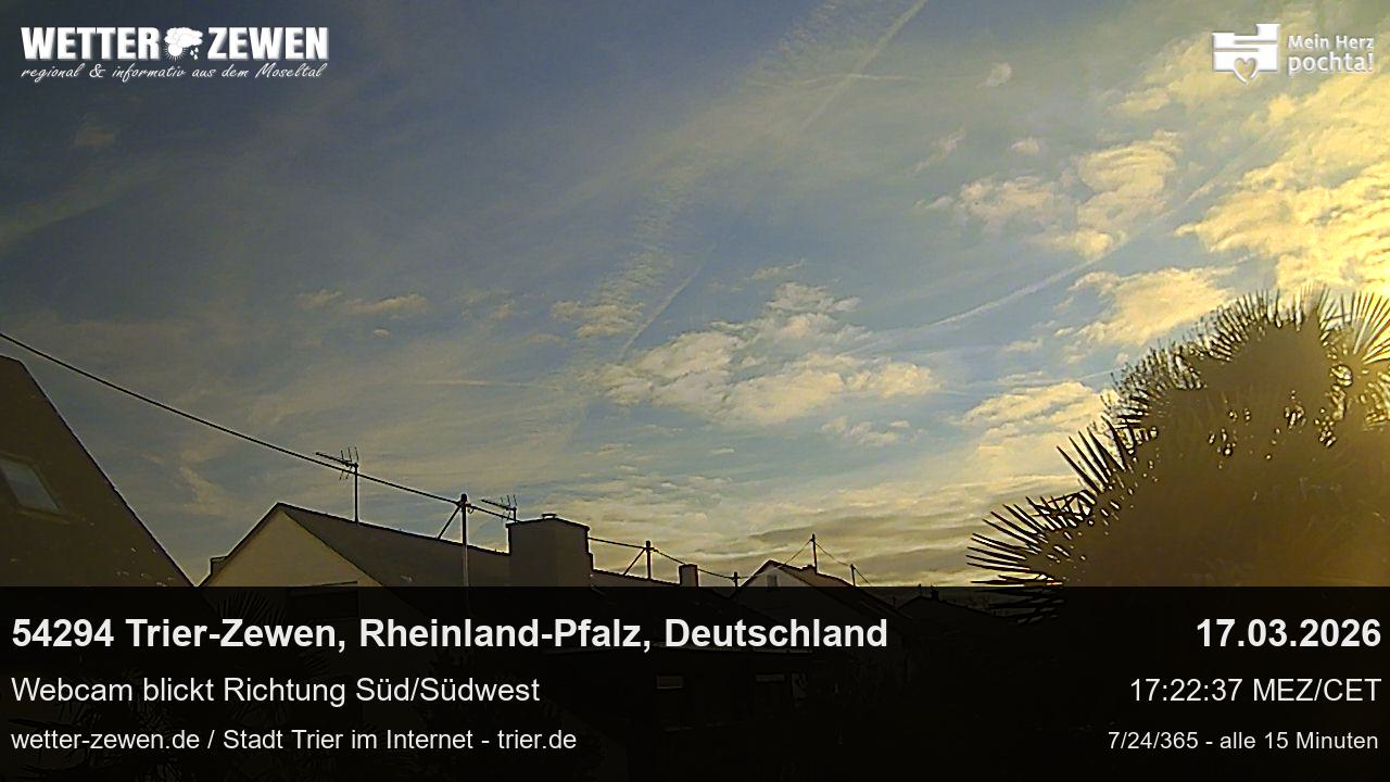 Bild