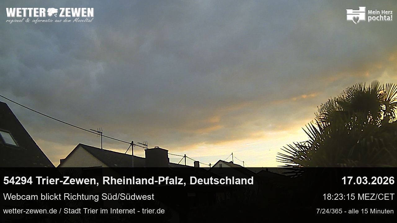 Bild