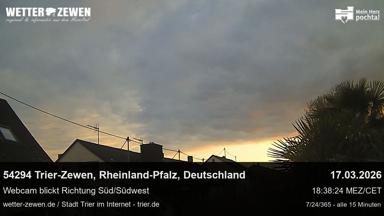 Bild