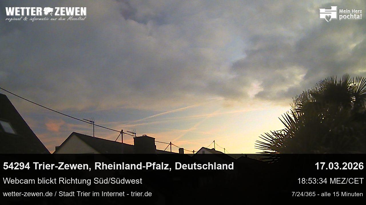 Bild