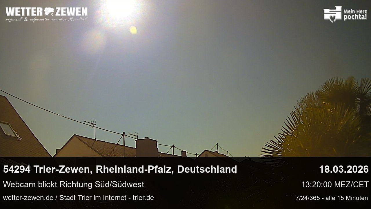 Bild