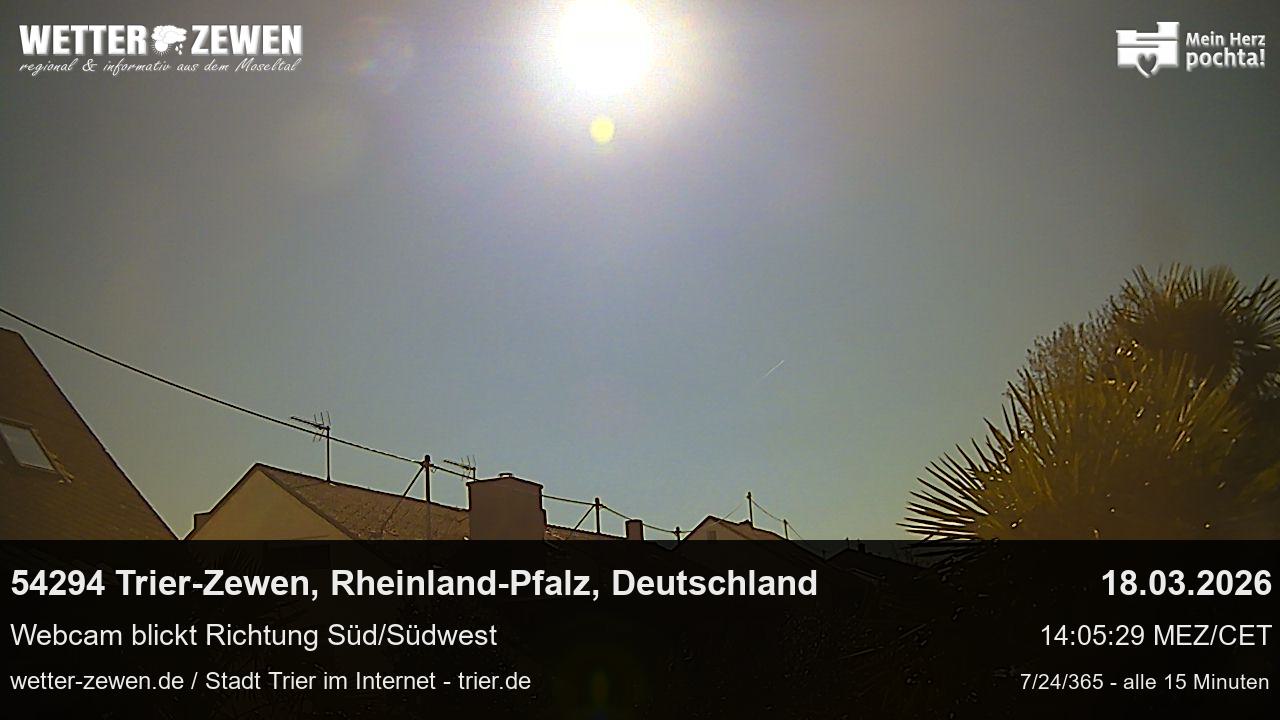 Bild