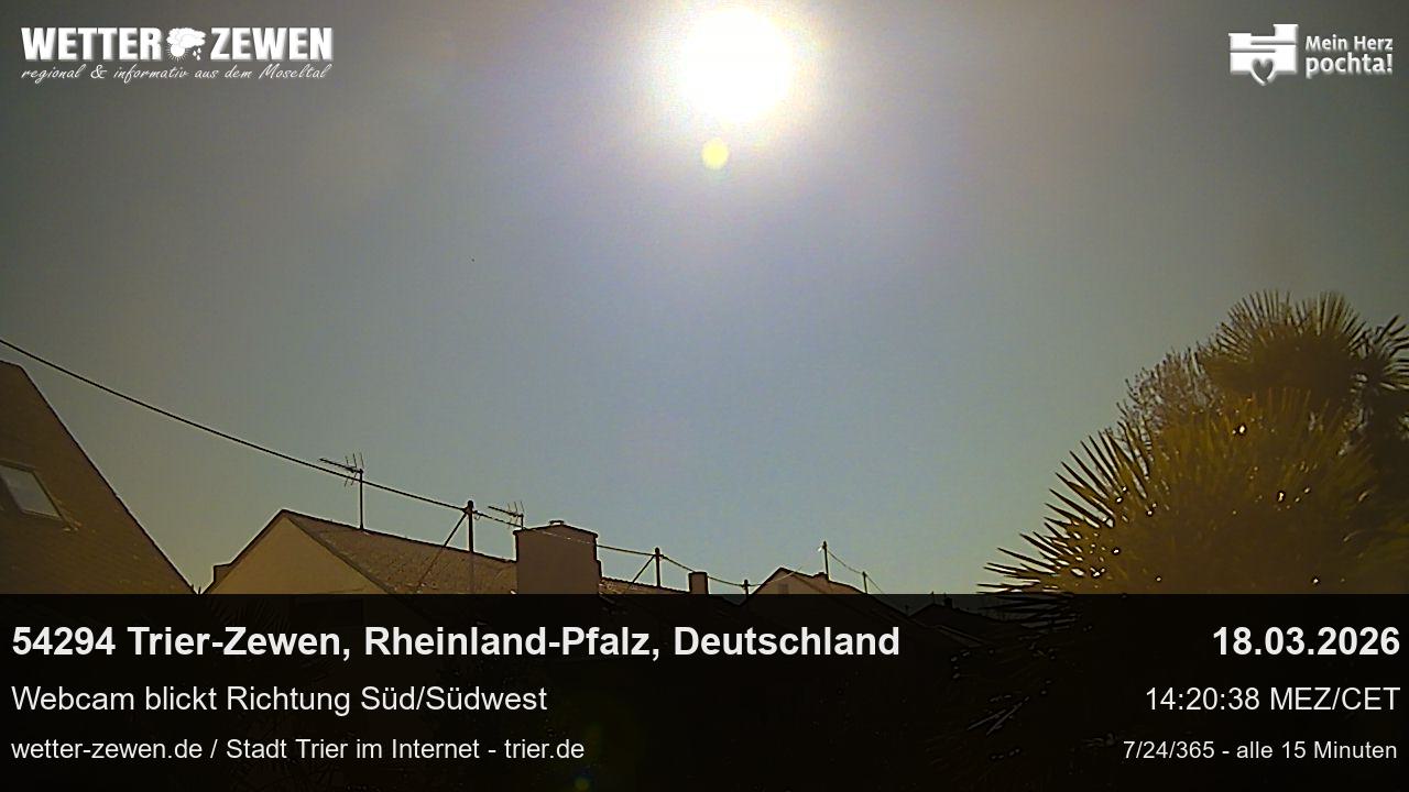 Bild