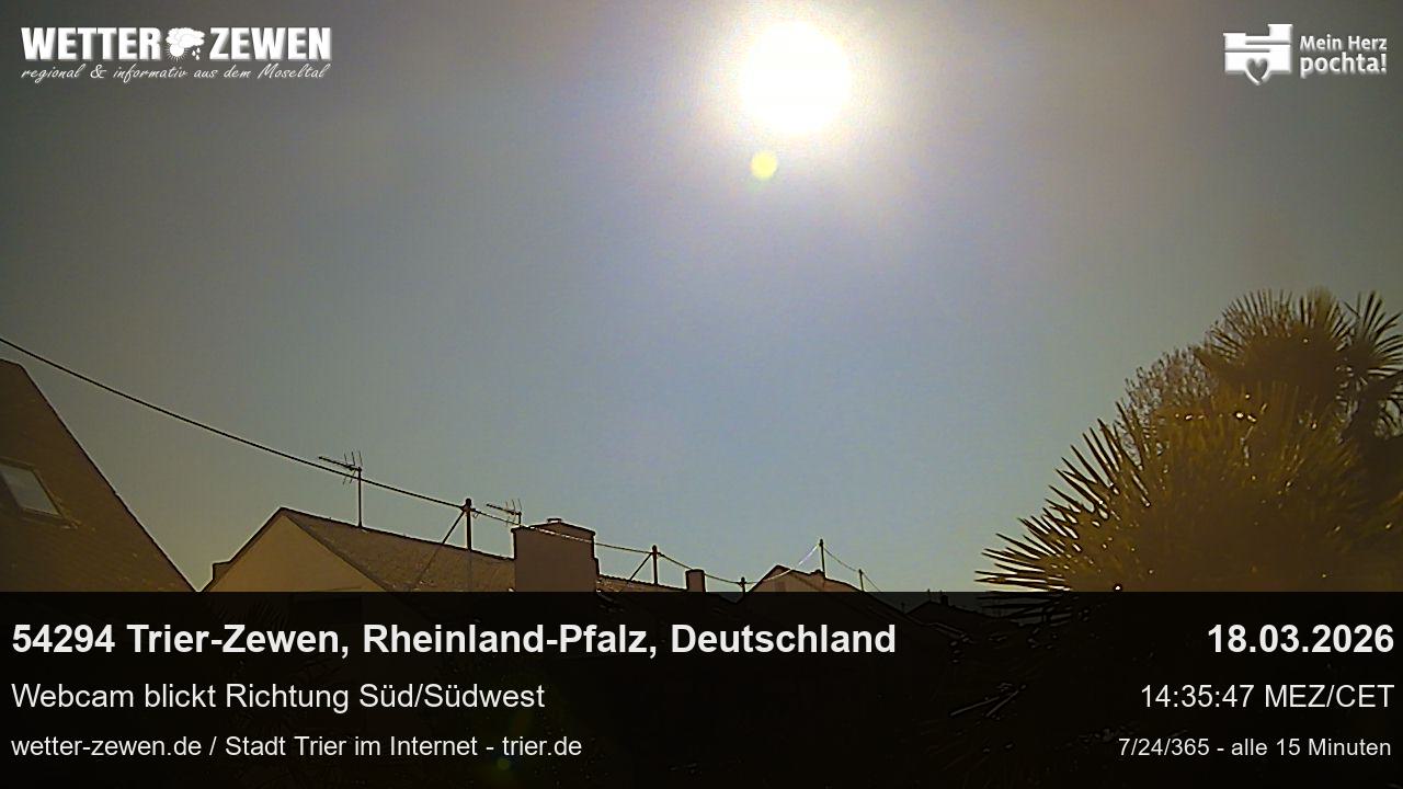 Bild