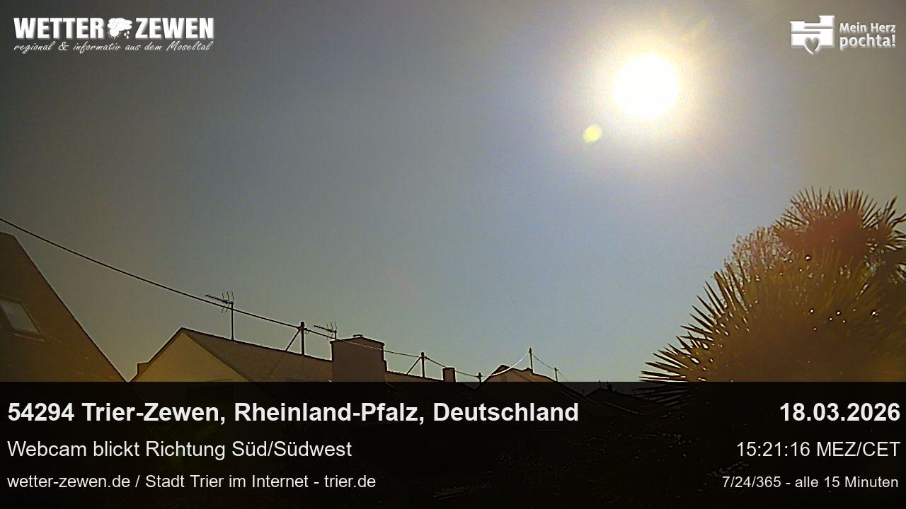 Bild