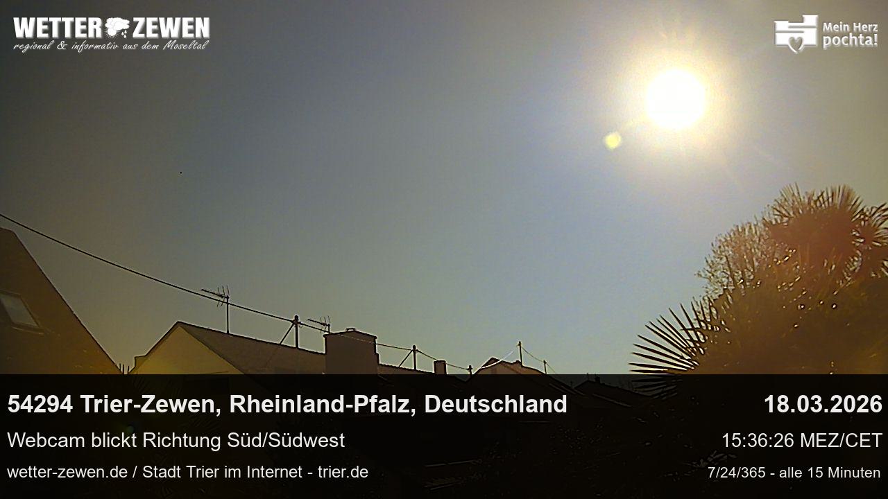 Bild