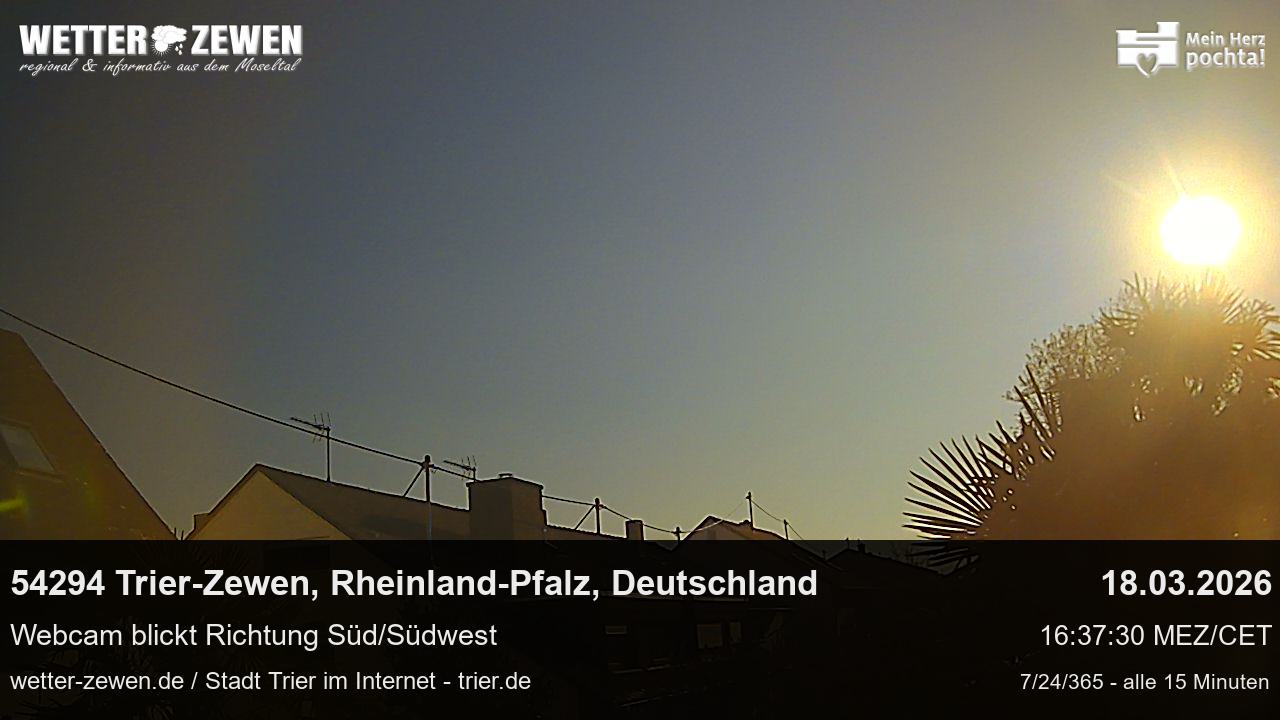 Bild