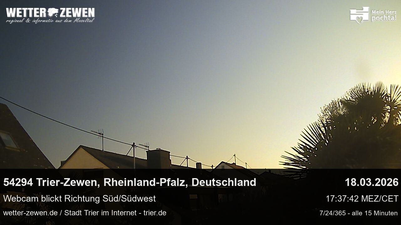 Bild