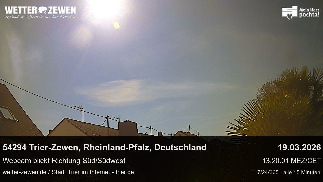 Bild