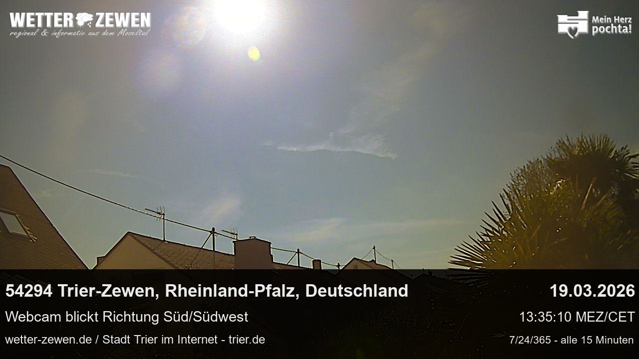 Bild