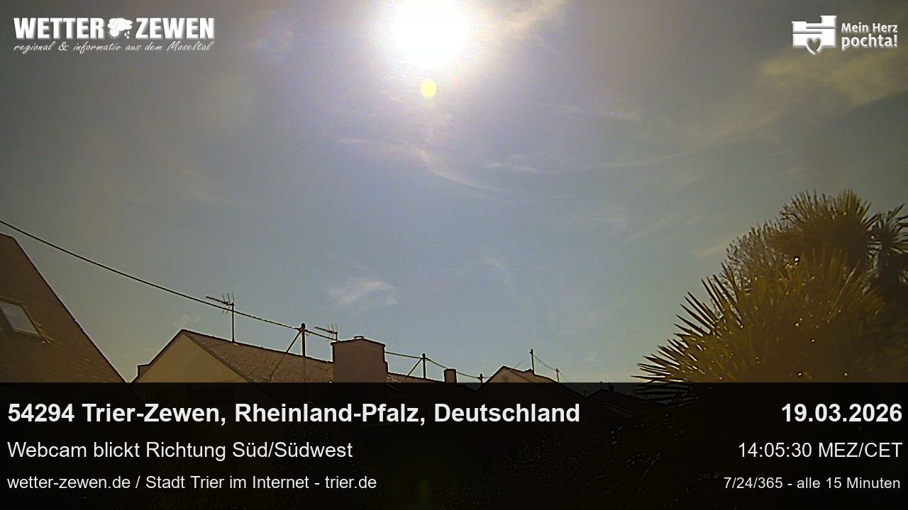 Bild