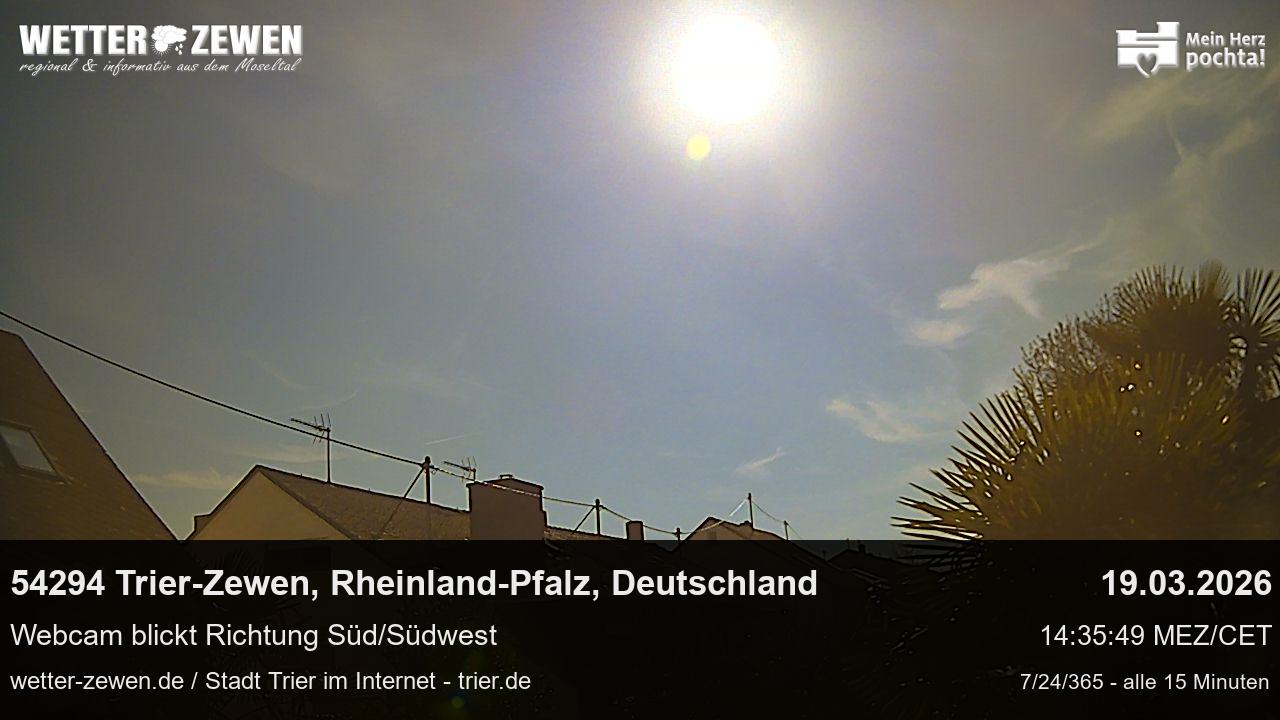 Bild