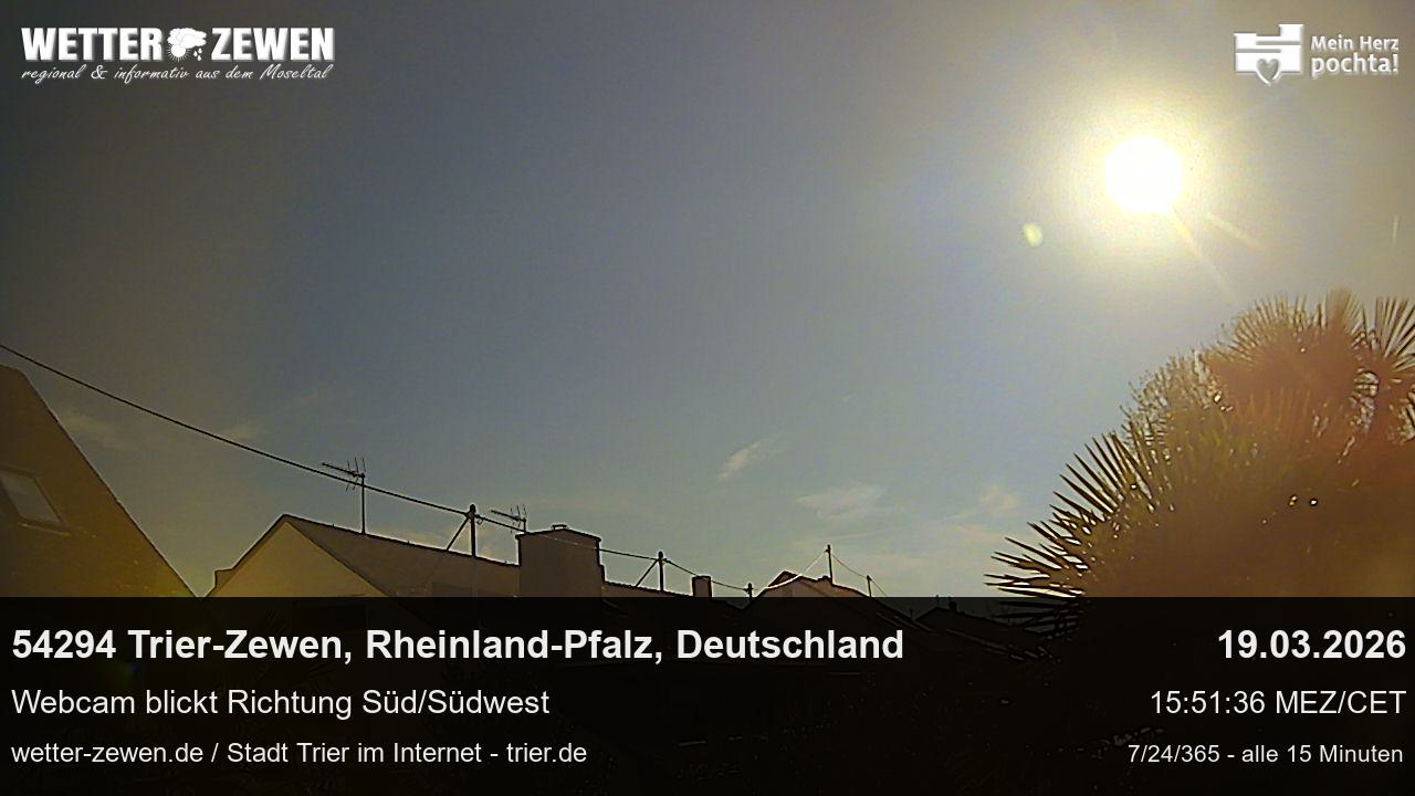 Bild