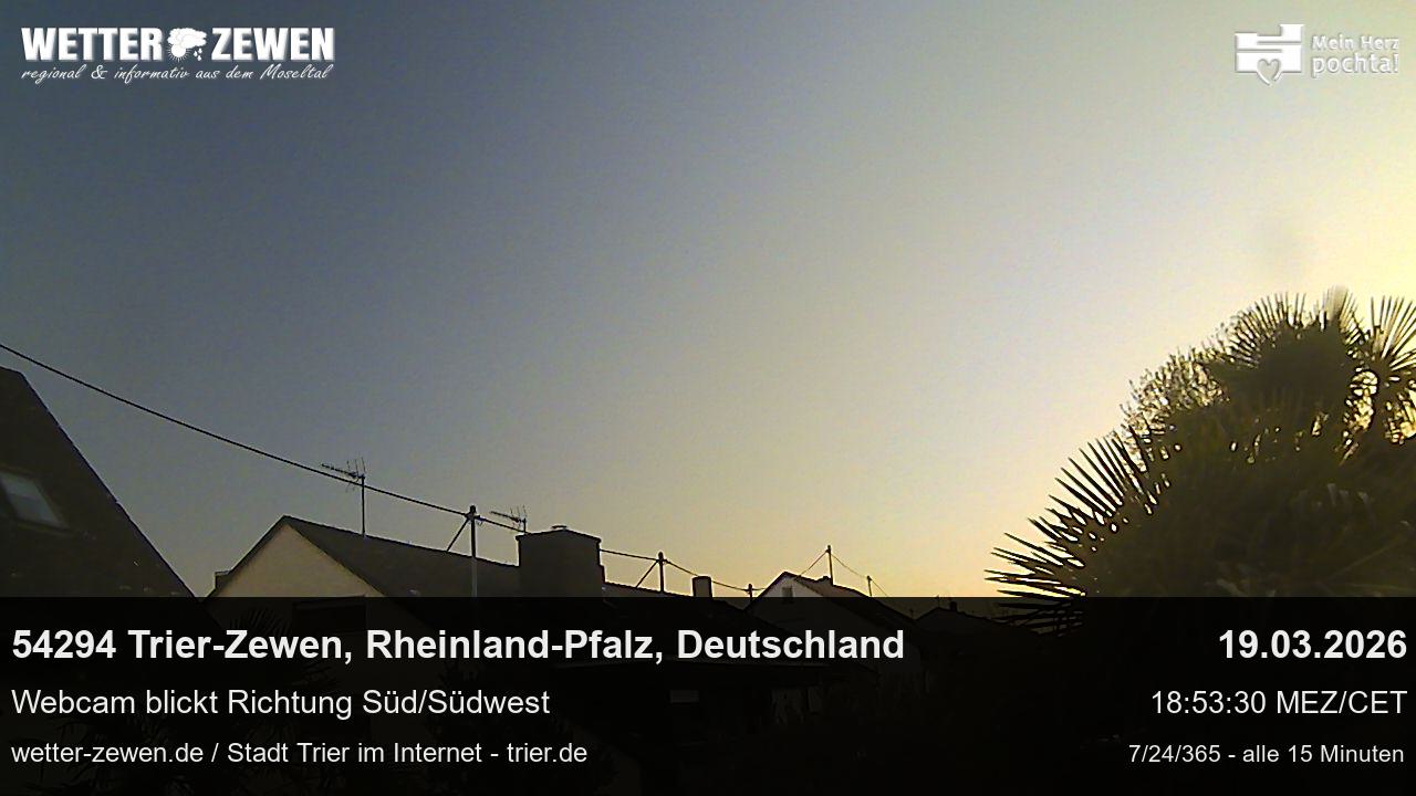 Bild