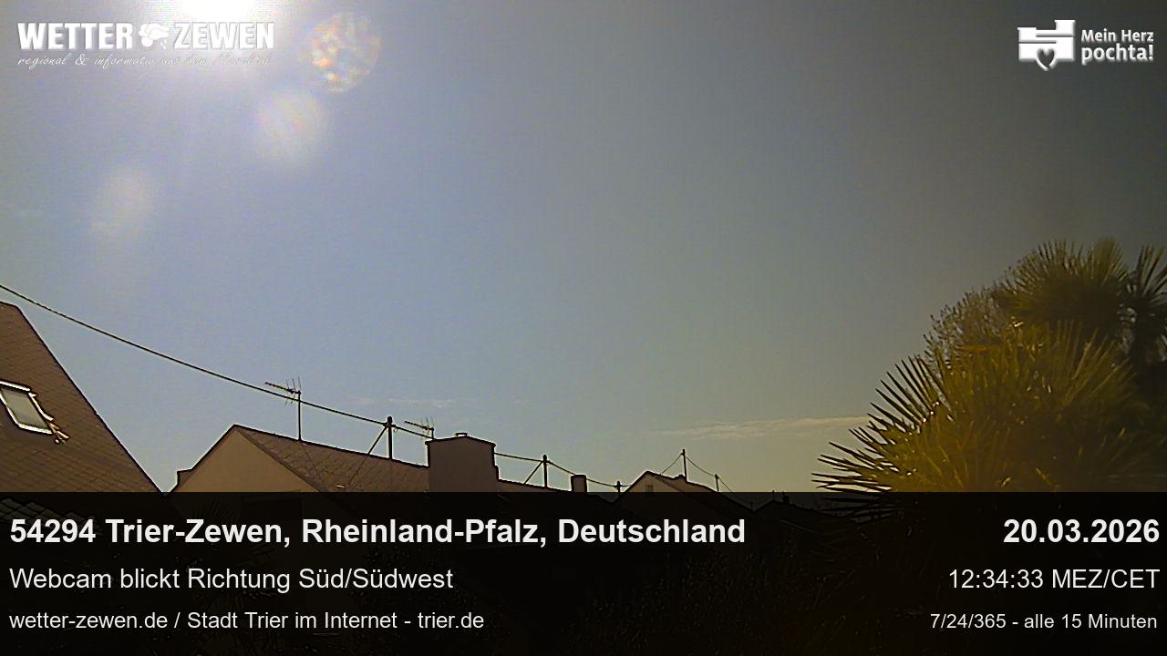 Bild