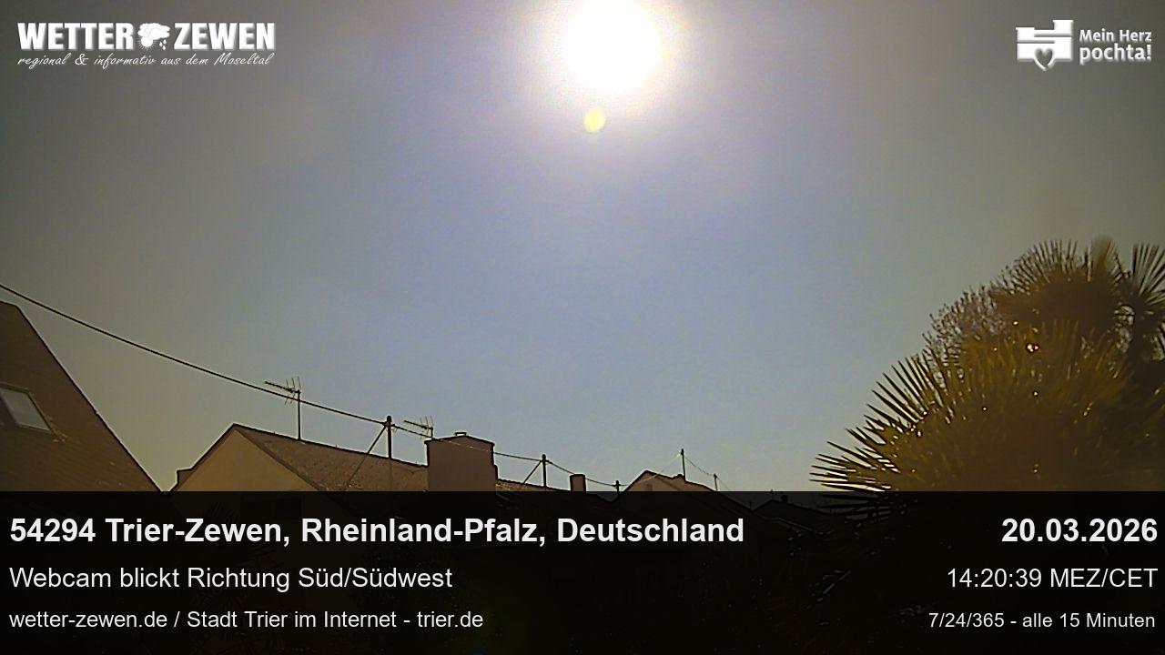 Bild