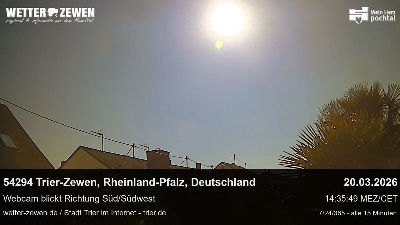 Bild