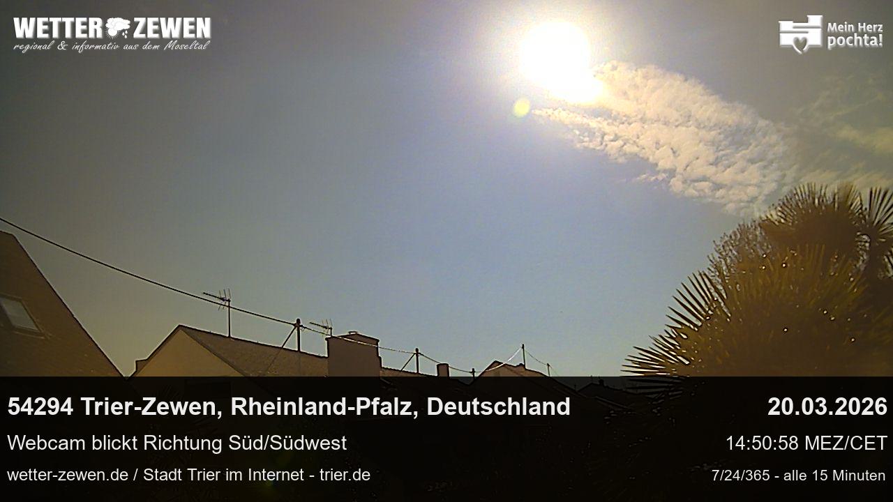 Bild