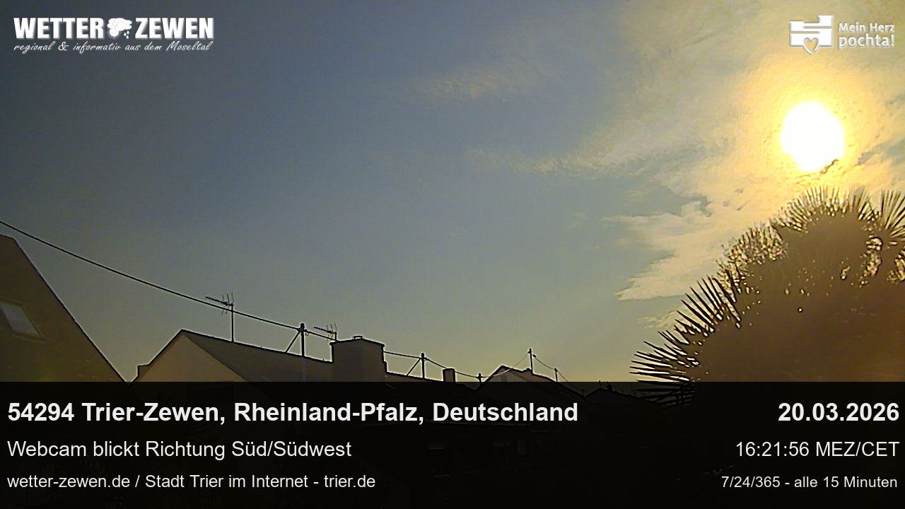 Bild