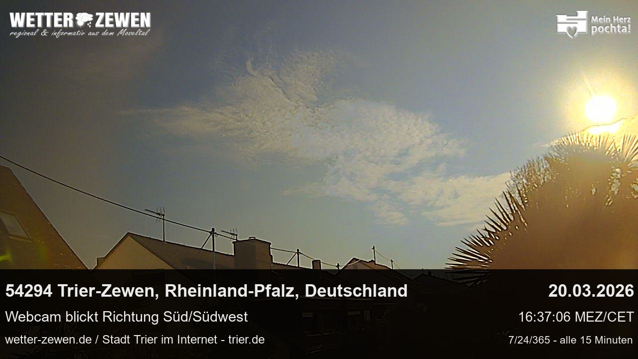 Bild