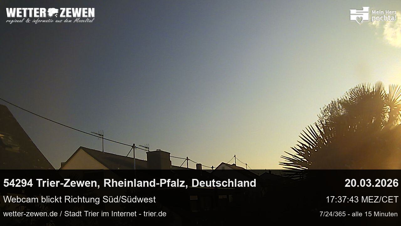 Bild