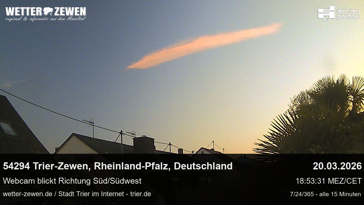 Bild