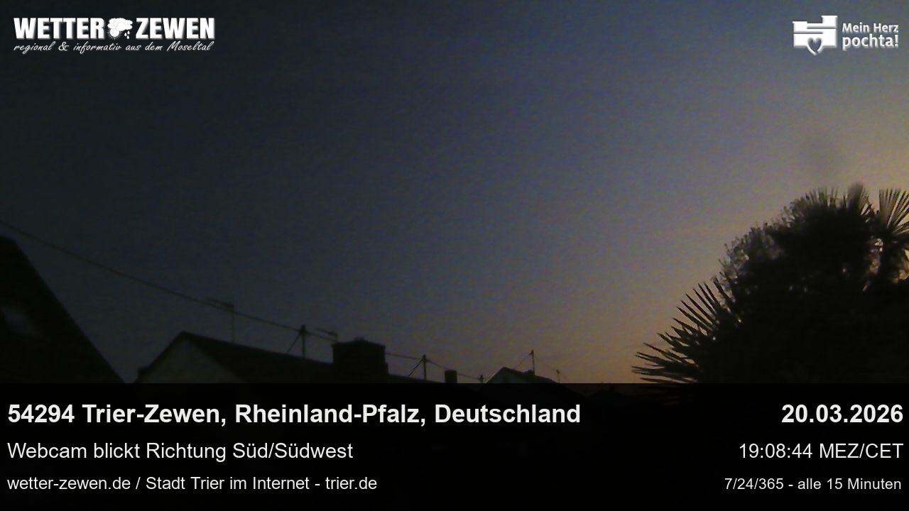 Bild