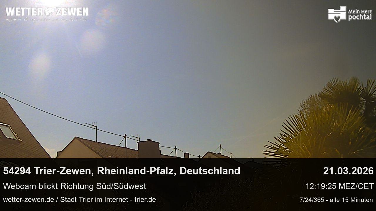 Bild