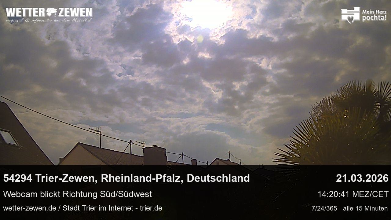 Bild