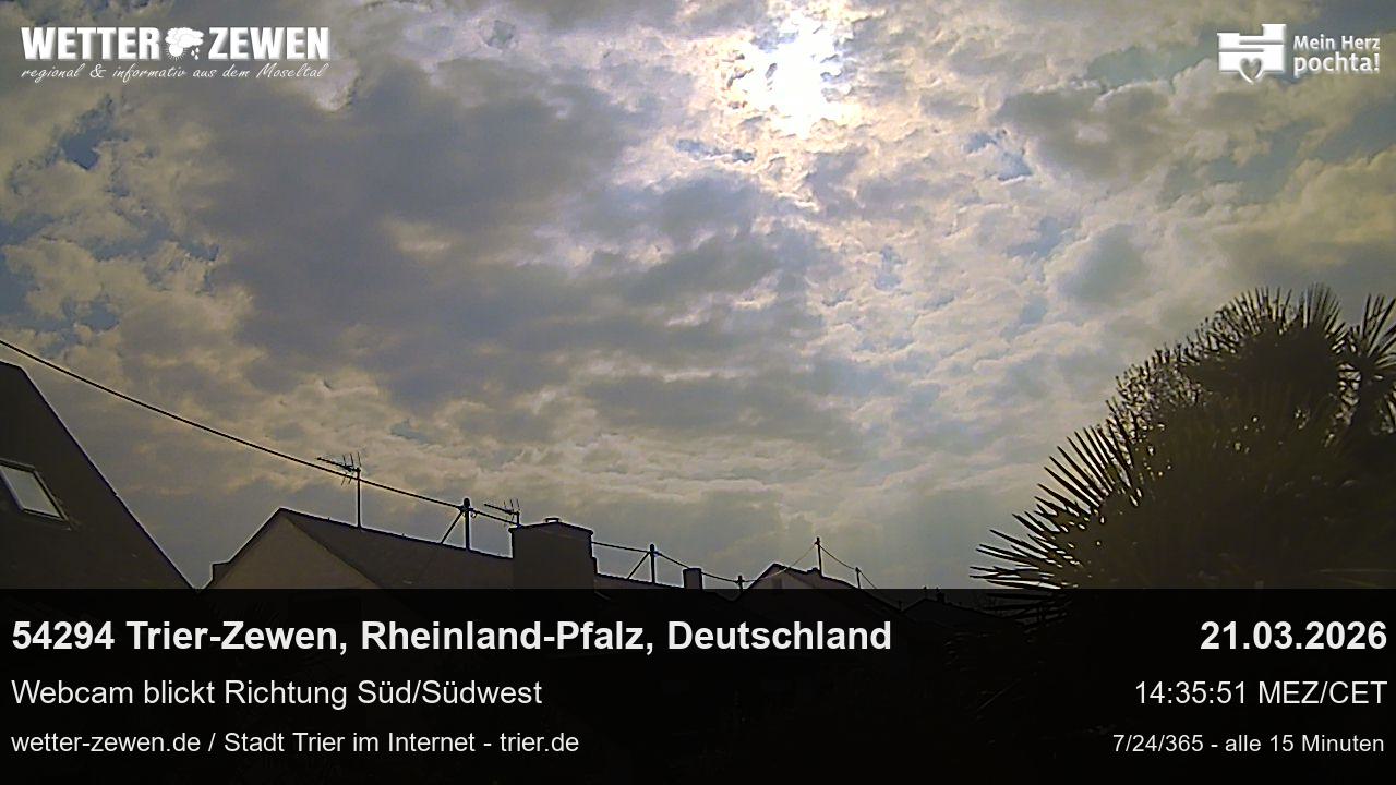 Bild