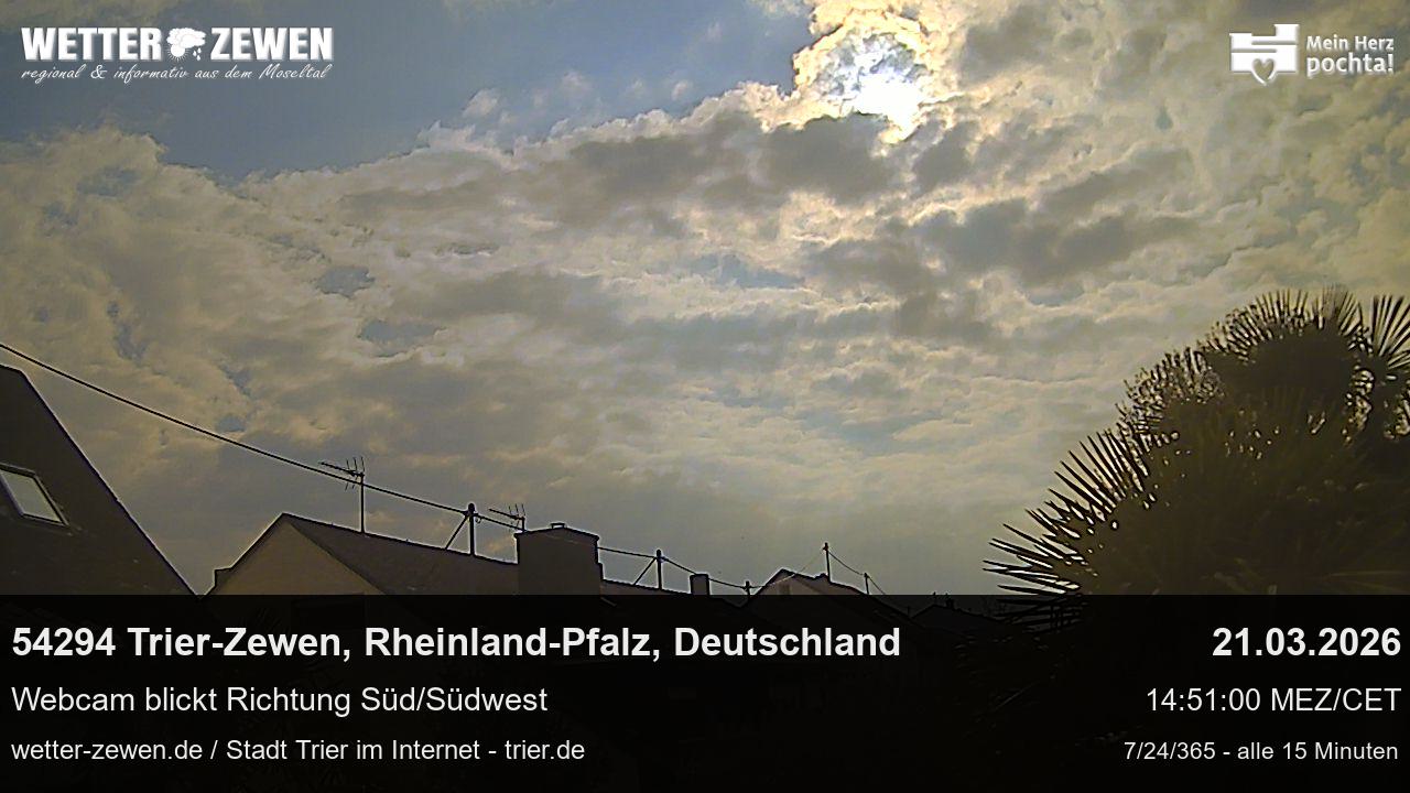 Bild