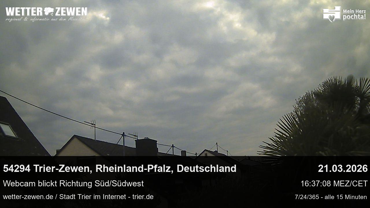 Bild