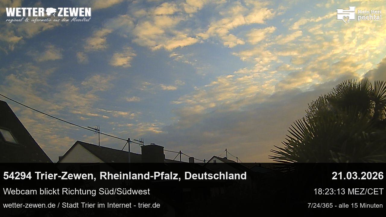 Bild