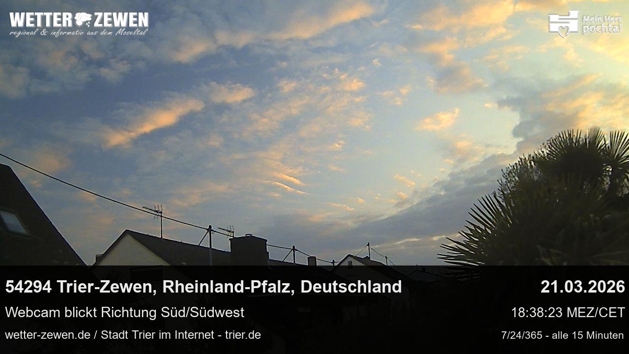 Bild