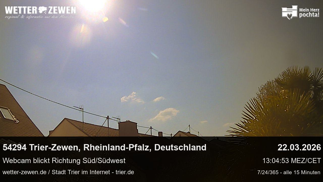 Bild