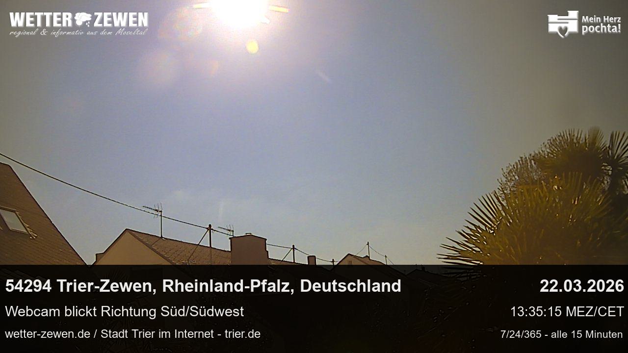 Bild