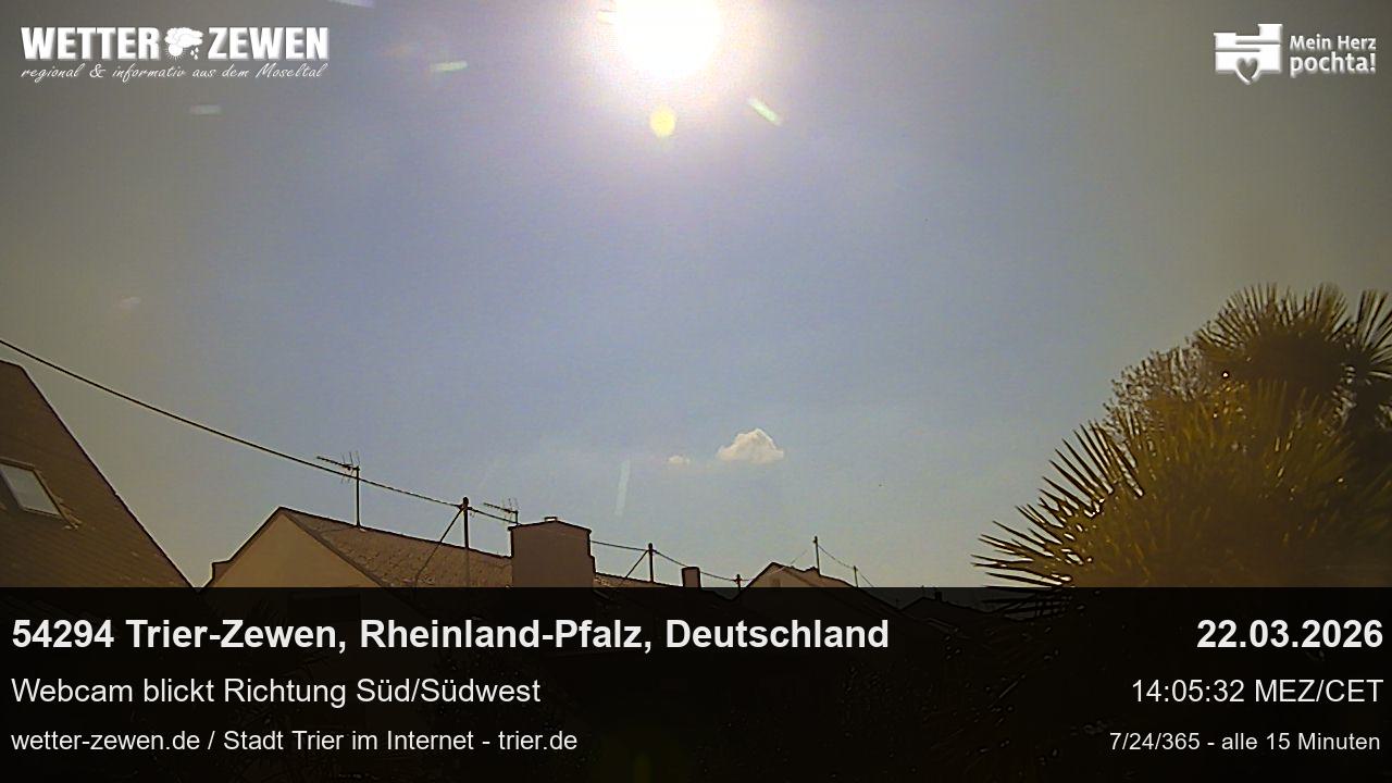 Bild