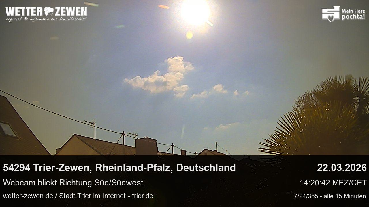 Bild