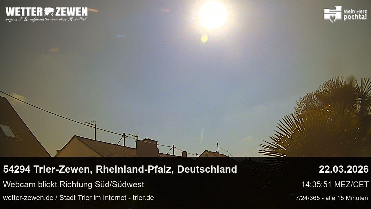 Bild