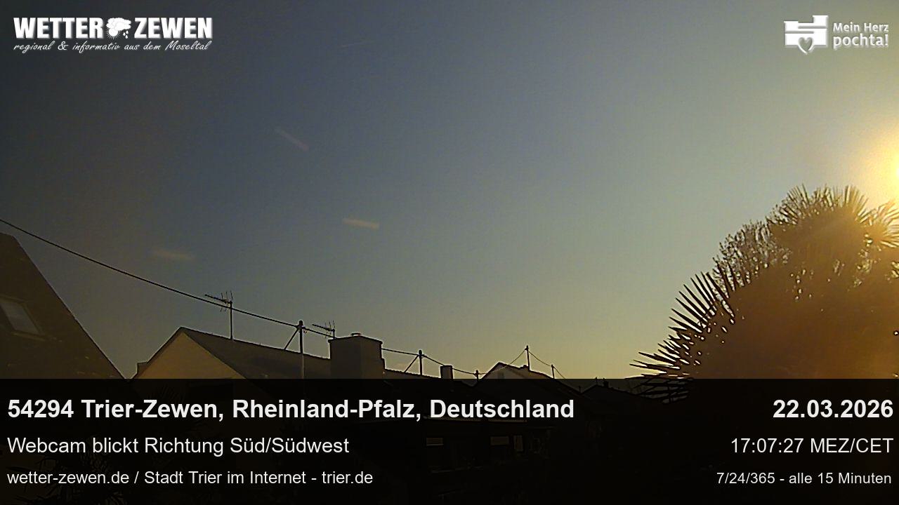 Bild