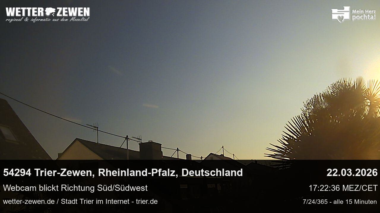 Bild