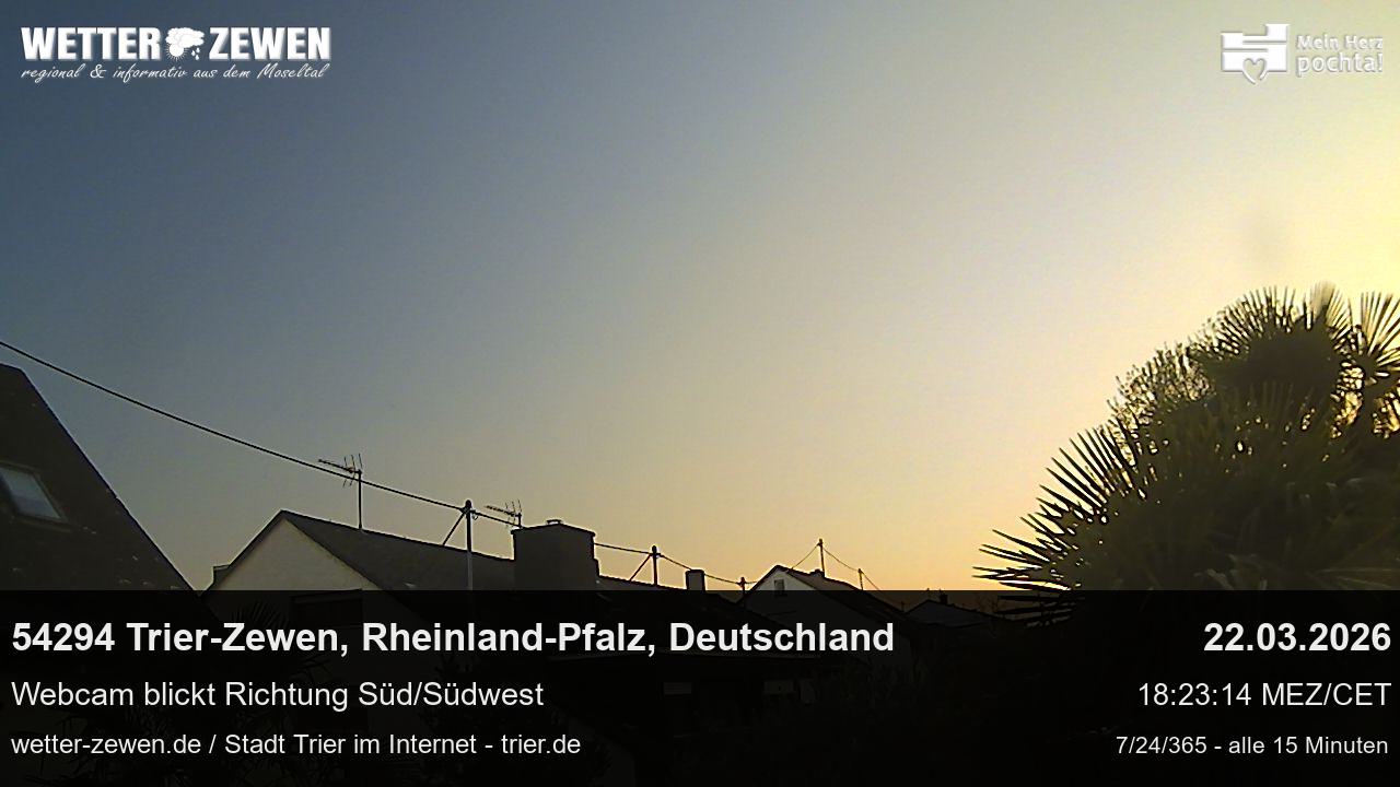Bild