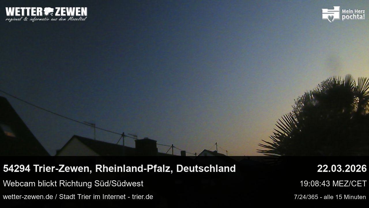 Bild