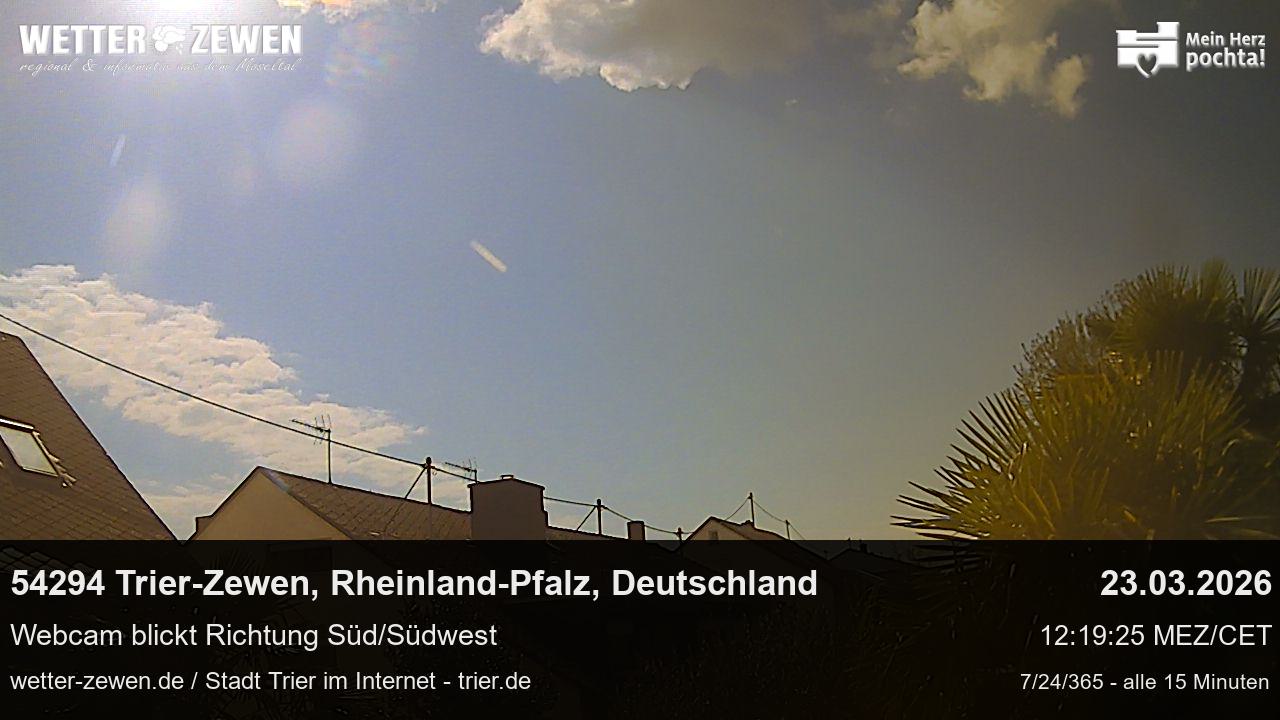 Bild