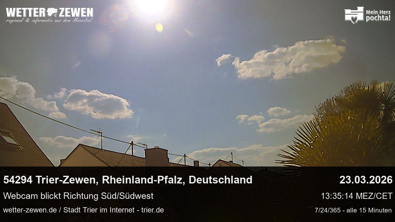 Bild