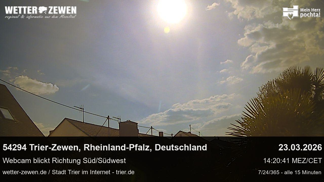 Bild
