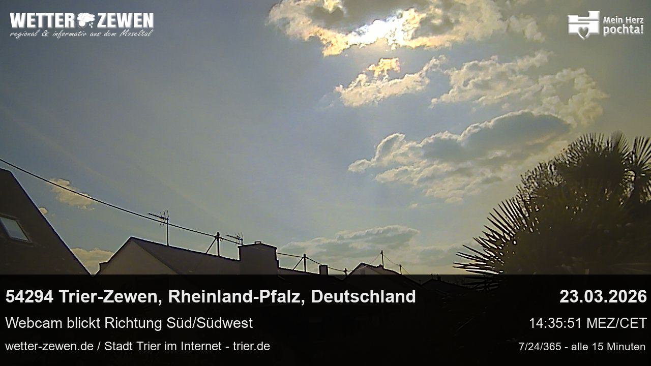 Bild