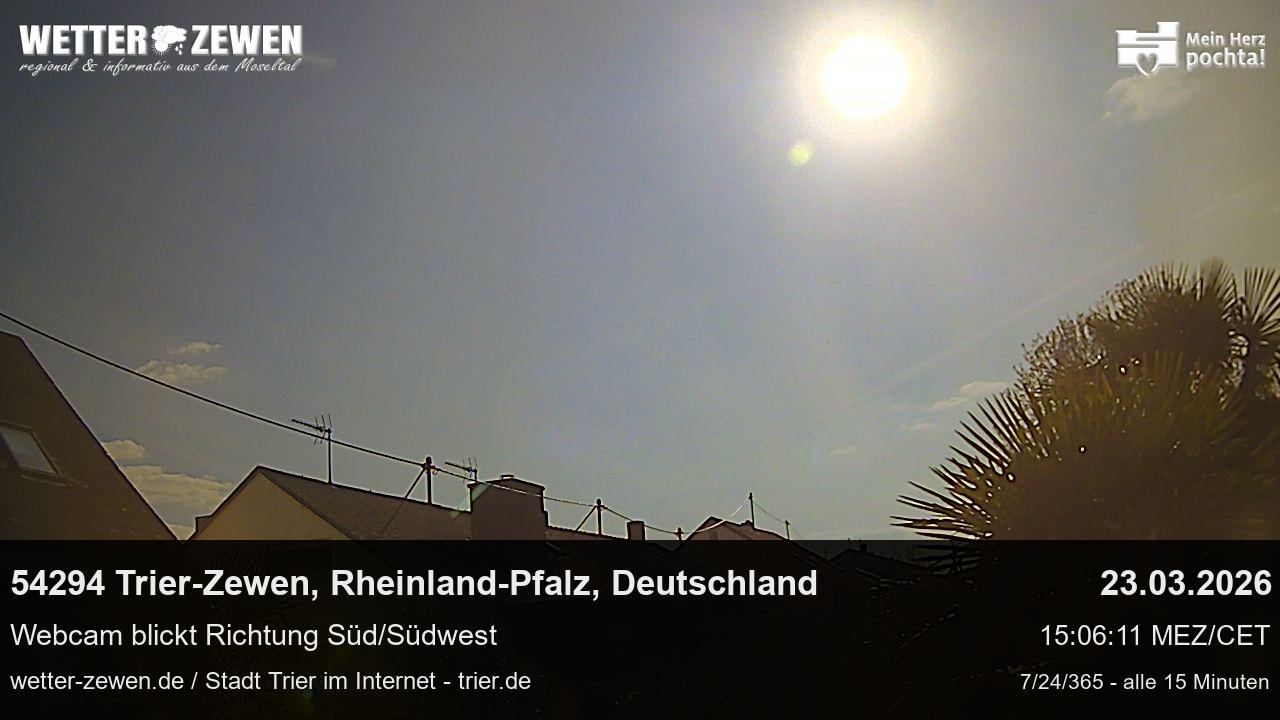 Bild