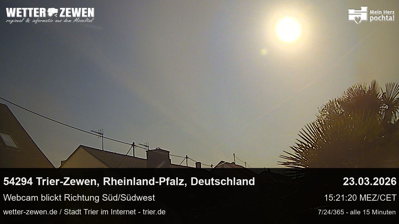 Bild