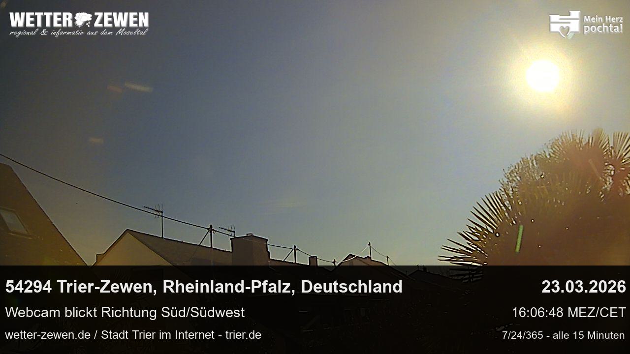 Bild